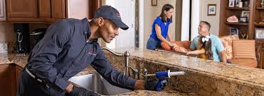 Best Residential Pest Control  in Williams, AZ